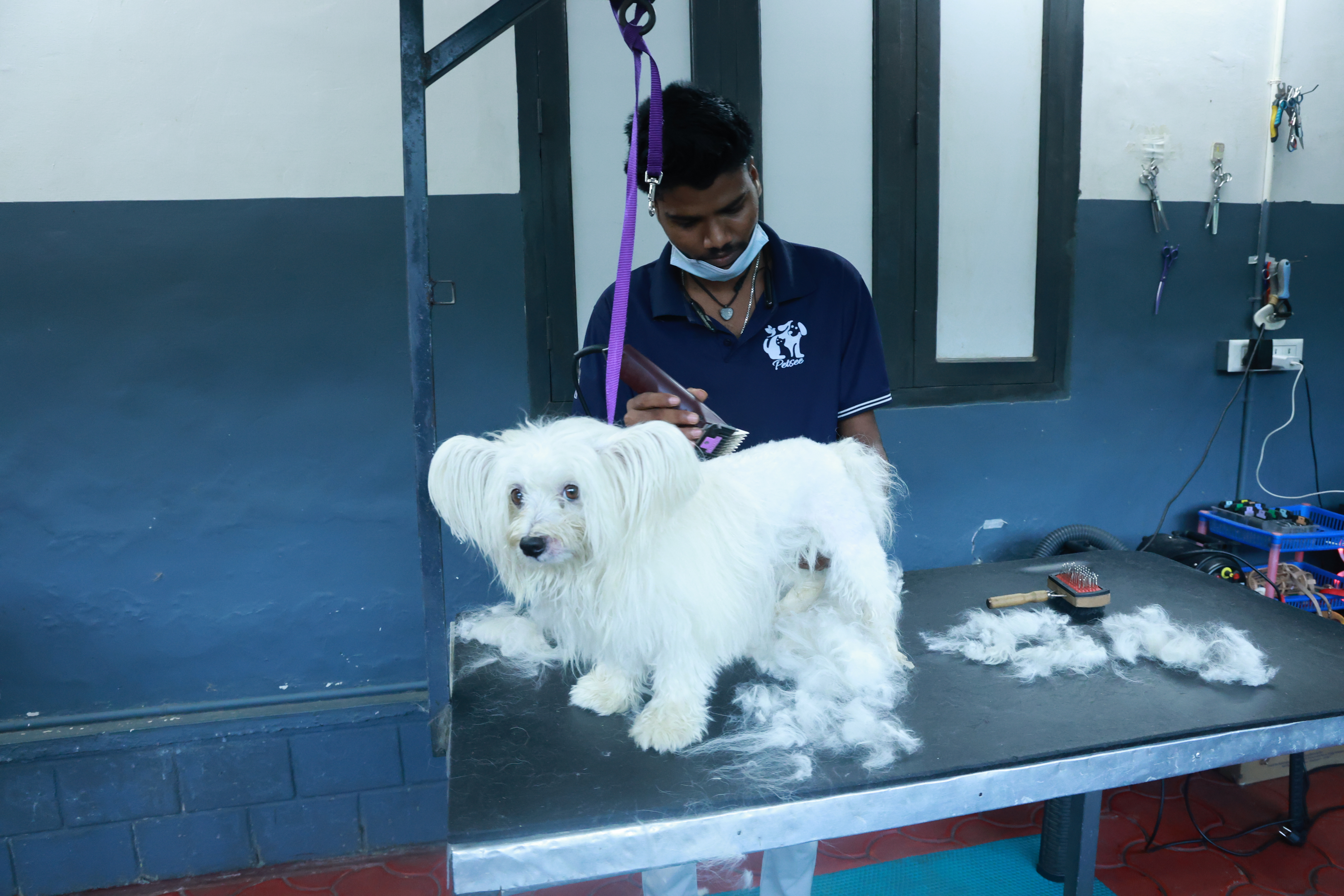 Gallery image for Chellakkad, Ranny
