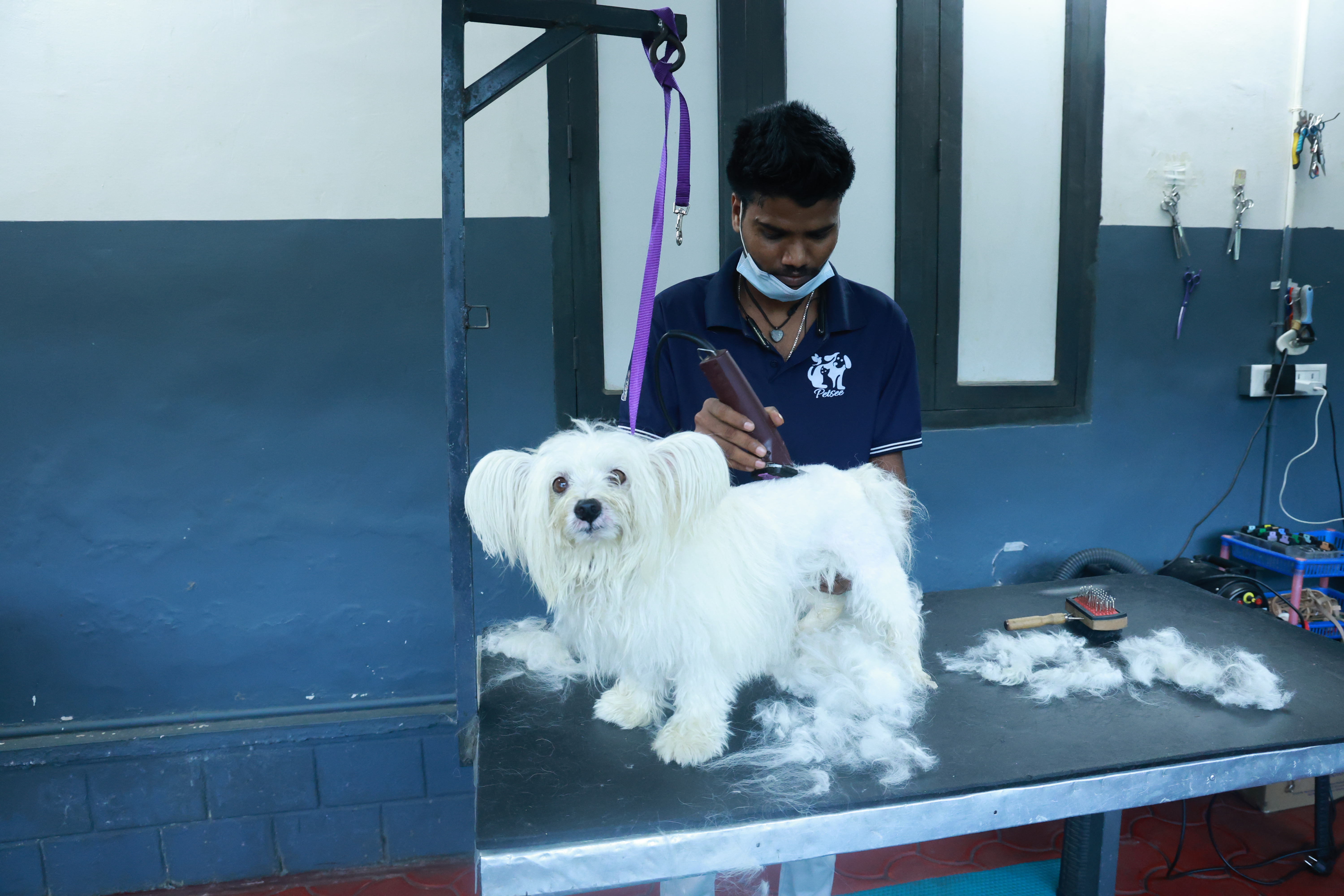 Gallery image for Chellakkad, Ranny