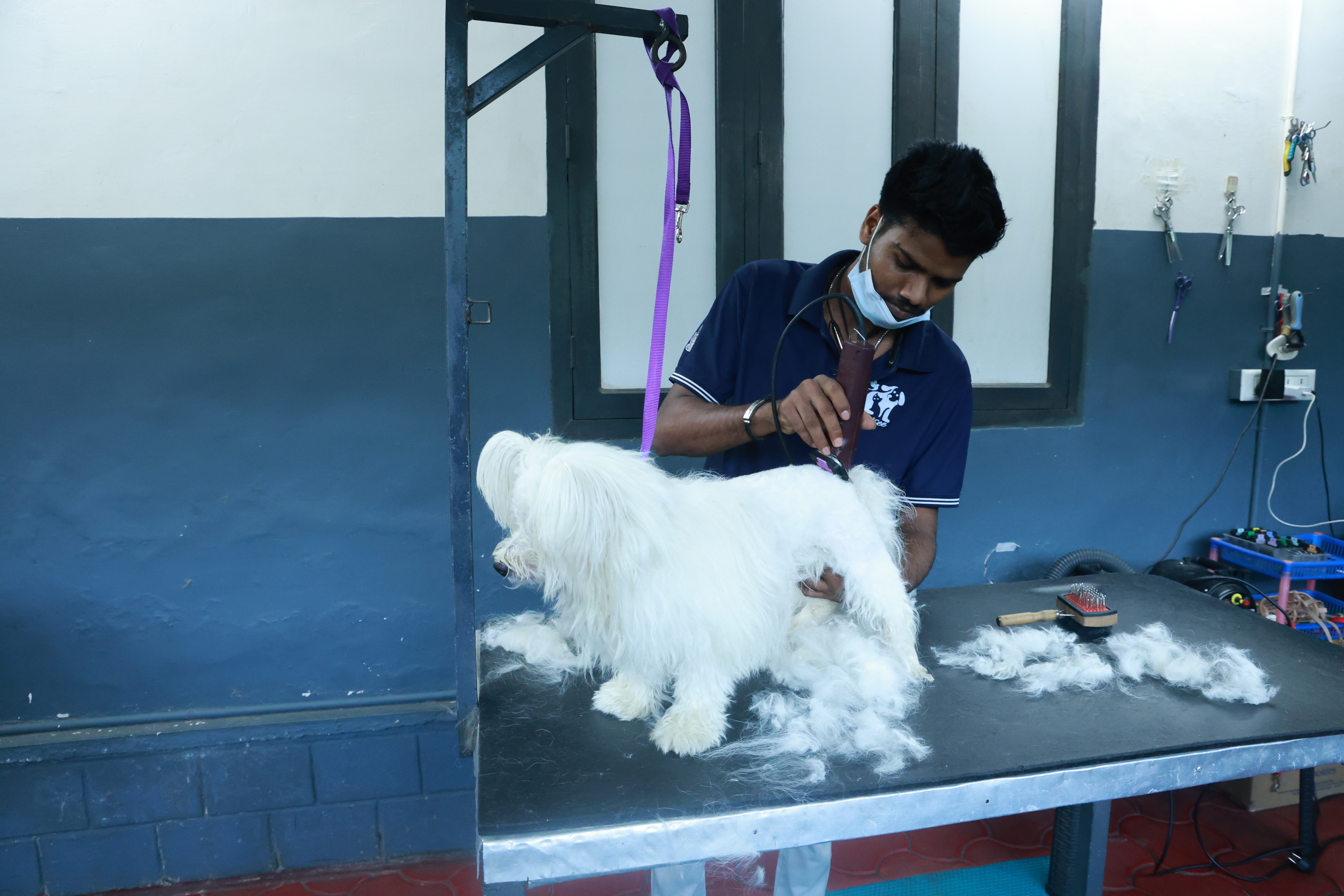 Gallery image for Chellakkad, Ranny