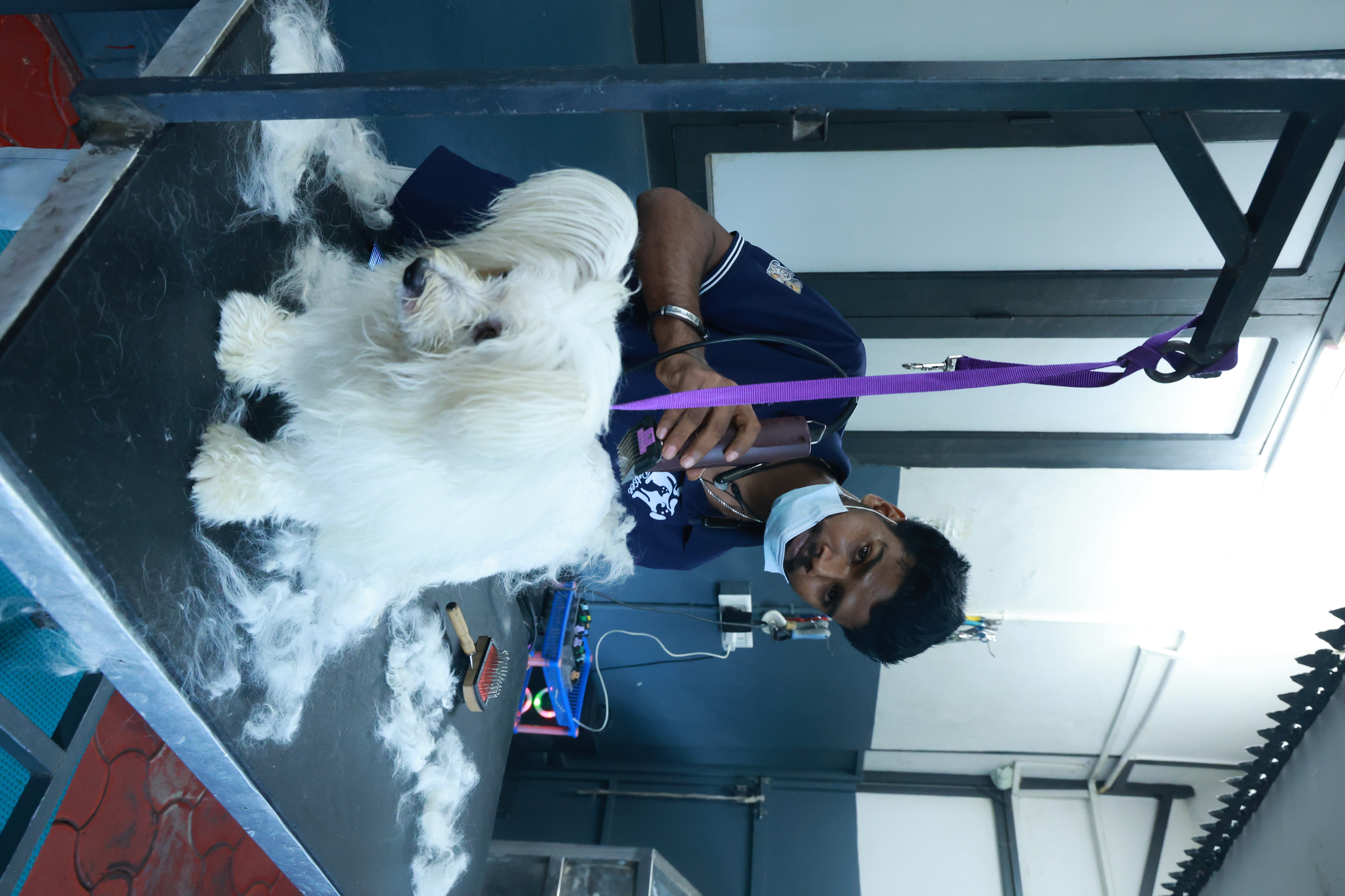 Gallery image for Chellakkad, Ranny