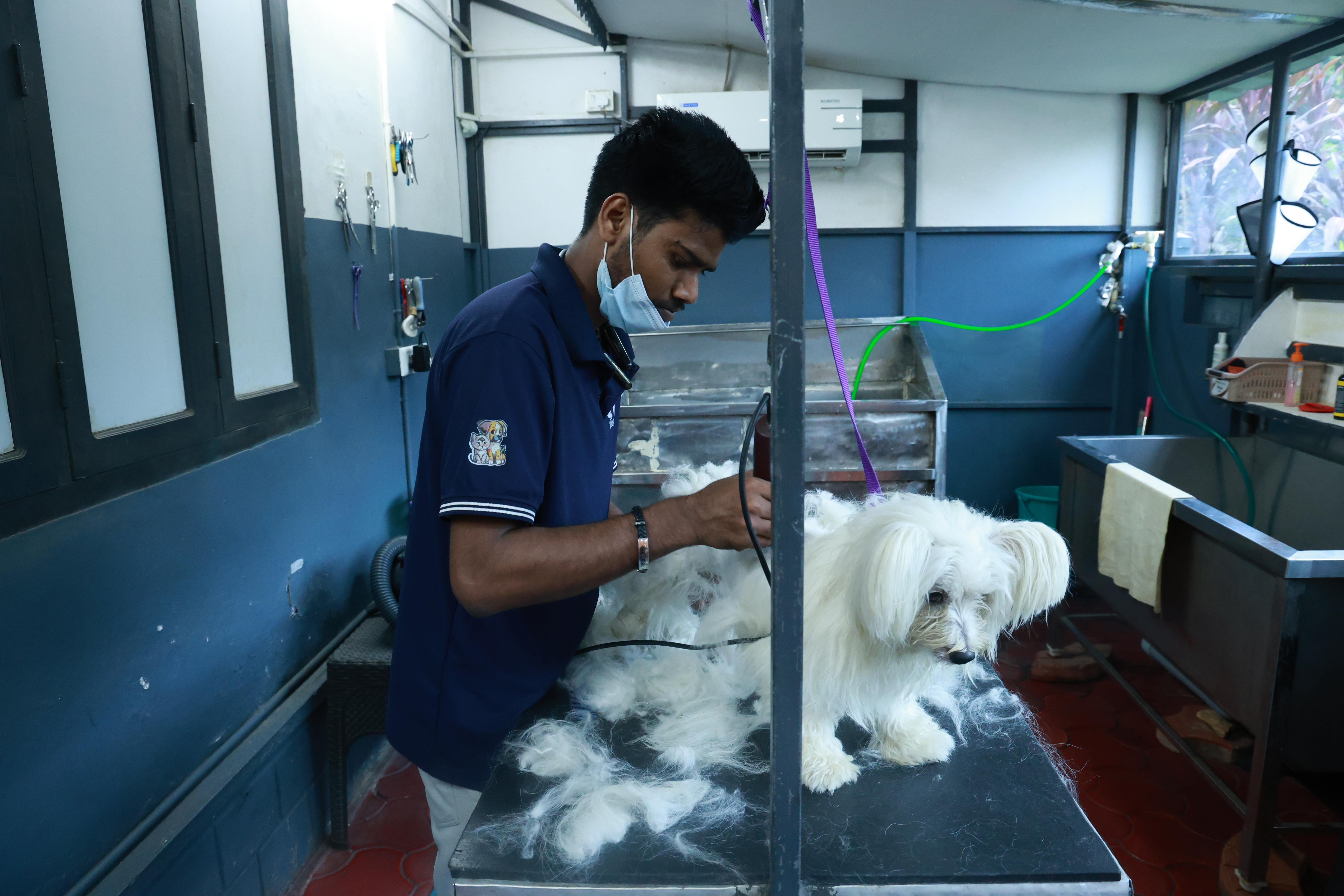 Gallery image for Chellakkad, Ranny